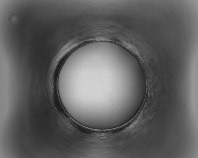 X0000088440295200705220920