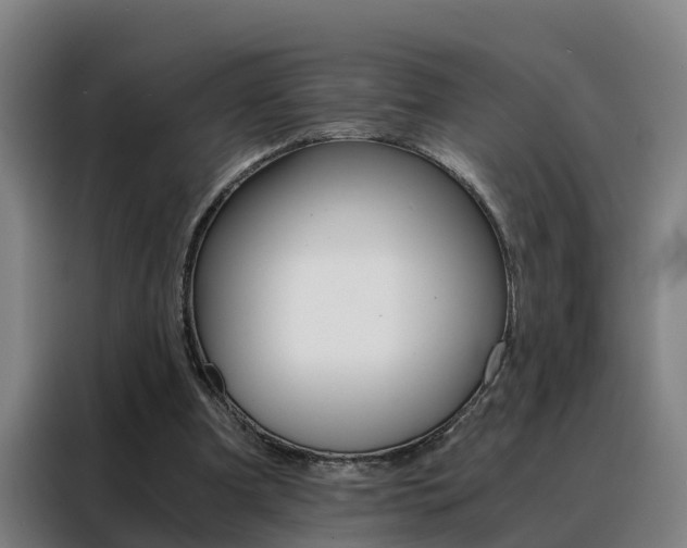 X0000088440297200705220920