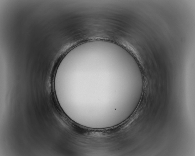 X0000088440298200705220920
