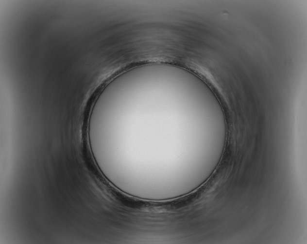 X0000088440299200705220920
