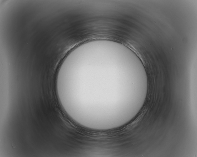 X0000088440301200705220920