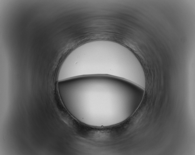 X0000088440303200705220920