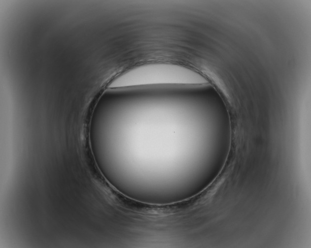 X0000088440305200705220920