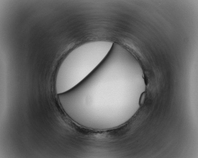 X0000088440306200705220920