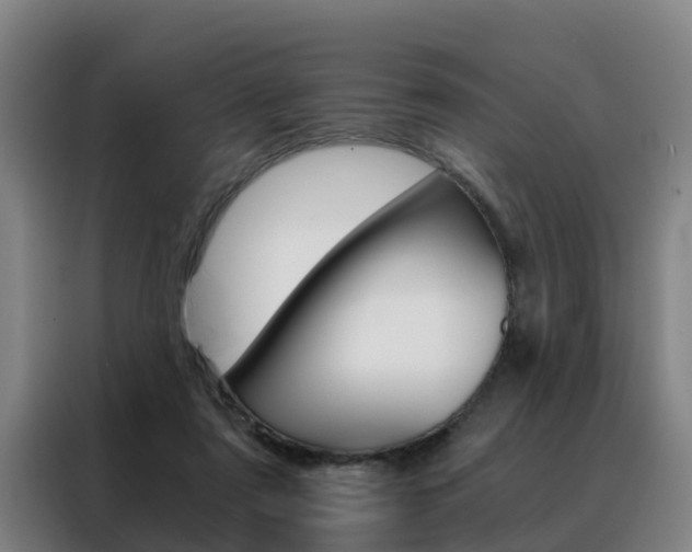X0000088440307200705220920