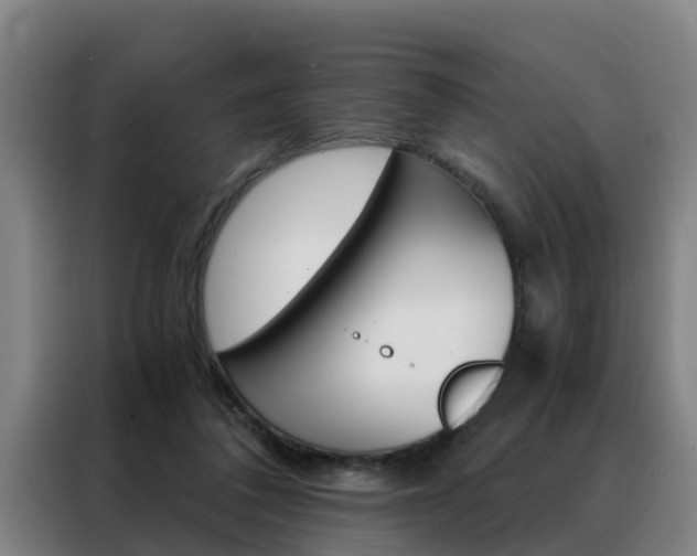 X0000088440308200705220920