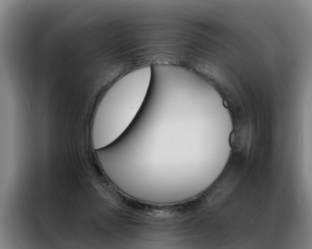 X0000088440310200705220920