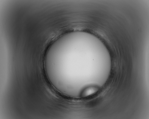 X0000088440311200705220920