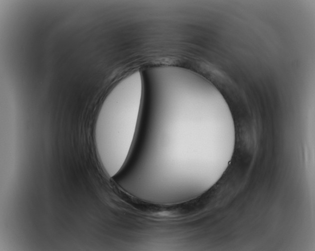 X0000088440312200705220920