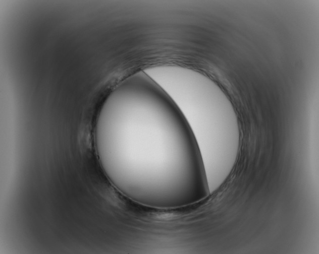 X0000088440313200705220920