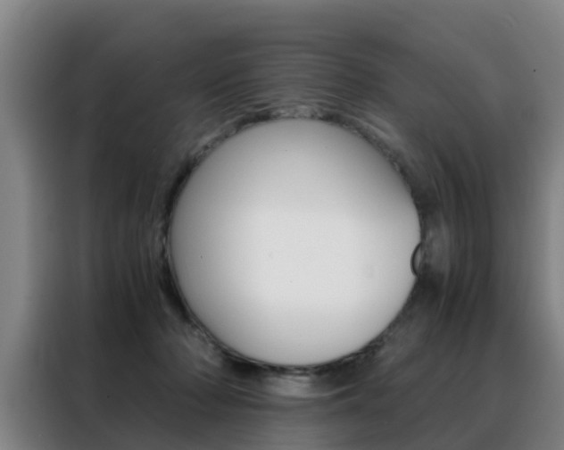 X0000088440318200705220920