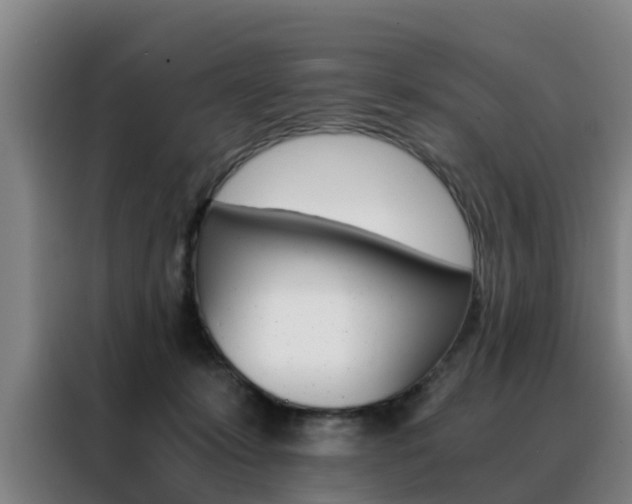 X0000088440319200705220920