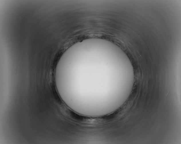 X0000088440323200705220920