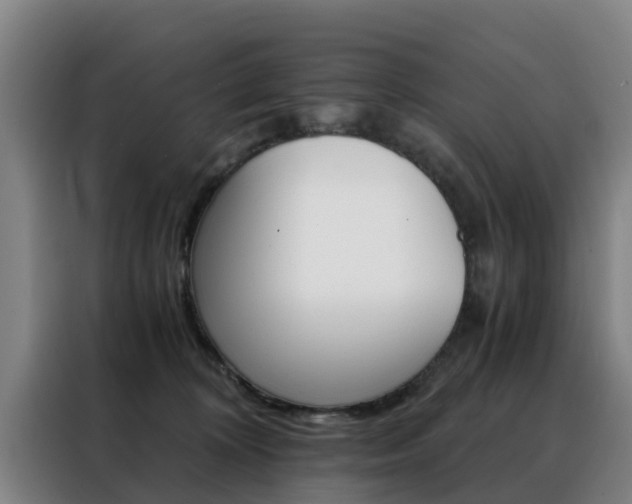 X0000088440324200705220920