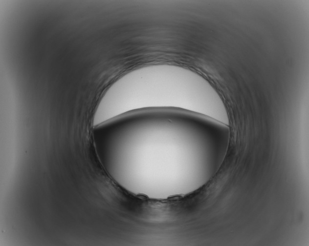 X0000088440325200705220920