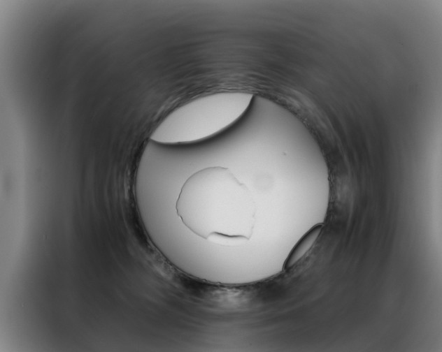 X0000088440326200705220920