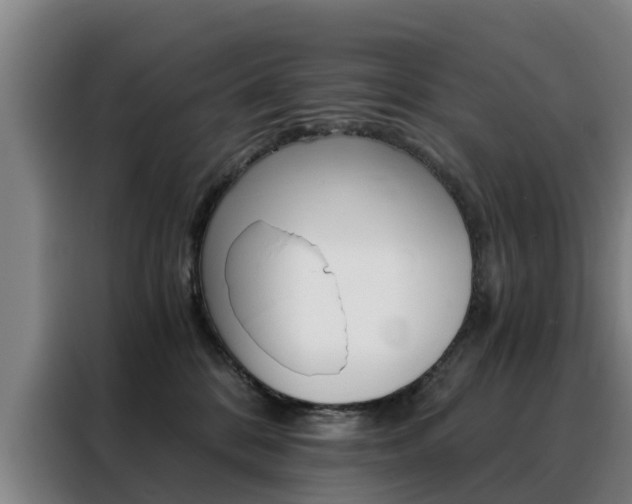 X0000088440328200705220920