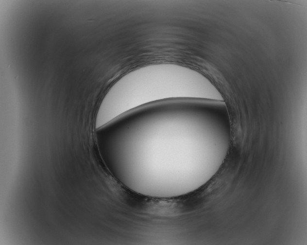 X0000088440329200705220920