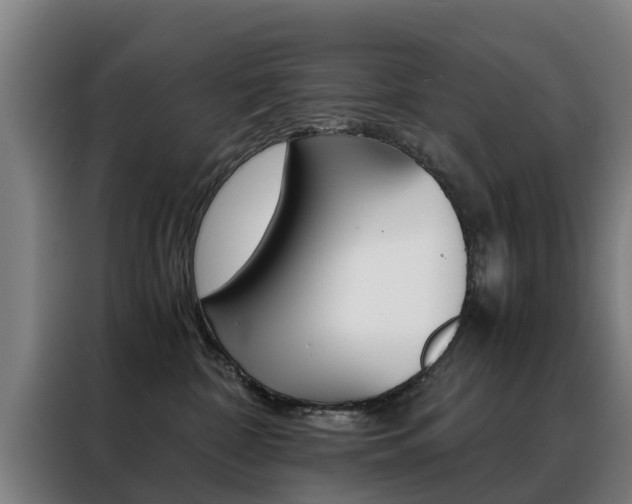 X0000088440332200705220920