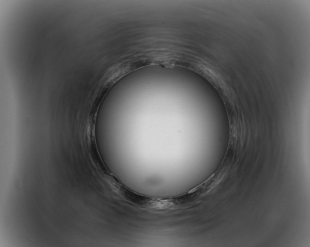X0000088440333200705220920