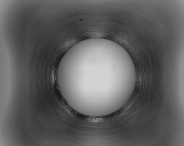 X0000088440334200705220920