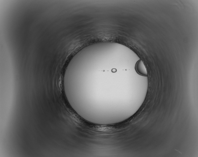 X0000088440336200705220920