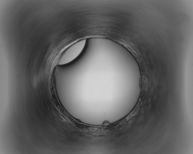 X0000088440338200705220919