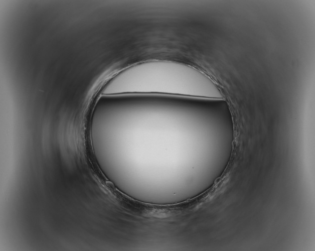X0000088440341200705220919