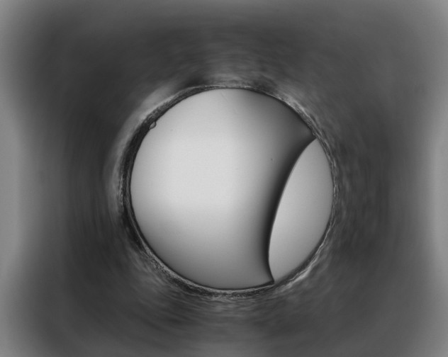 X0000088440343200705220919