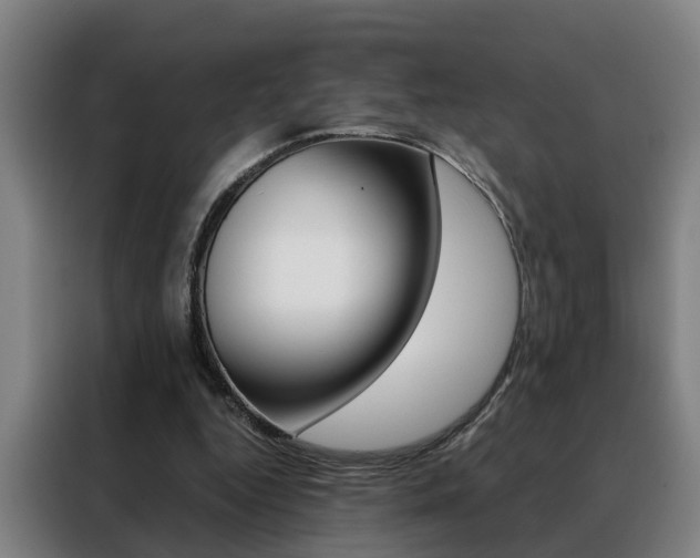 X0000088440344200705220919