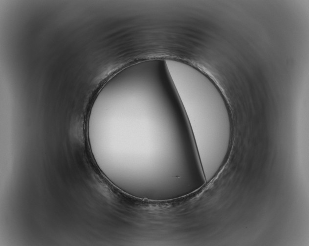 X0000088440345200705220919