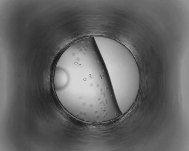 X0000088440346200705220919