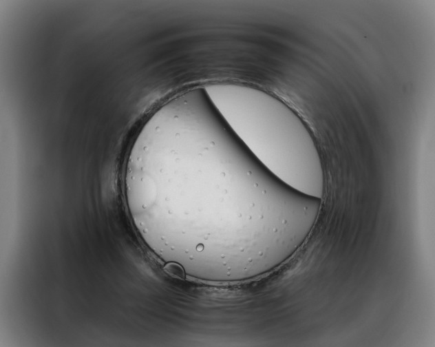 X0000088440347200705220919