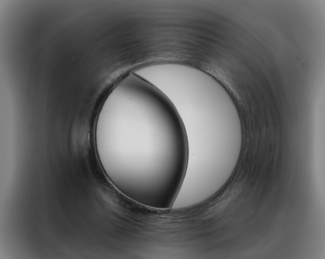 X0000088440348200705220919
