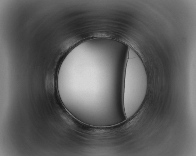 X0000088440349200705220919