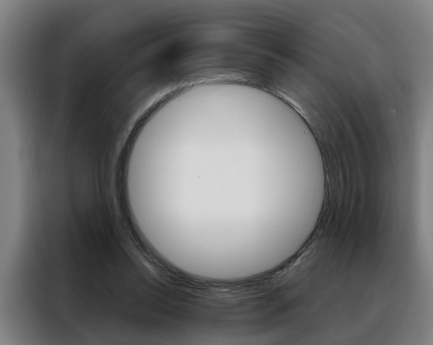 X0000088440350200705220919