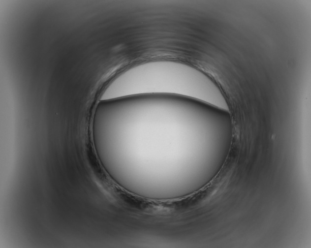 X0000088440352200705220919