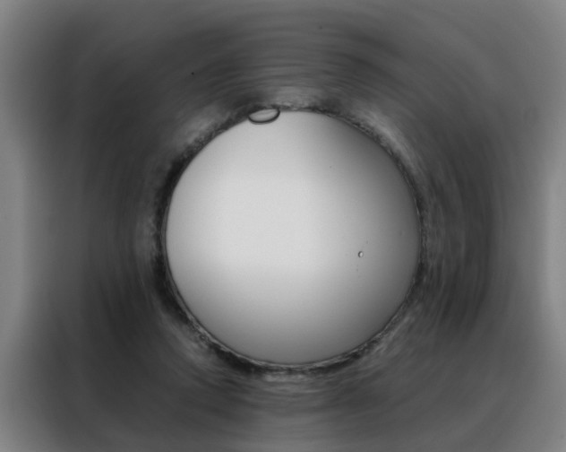 X0000088440354200705220919