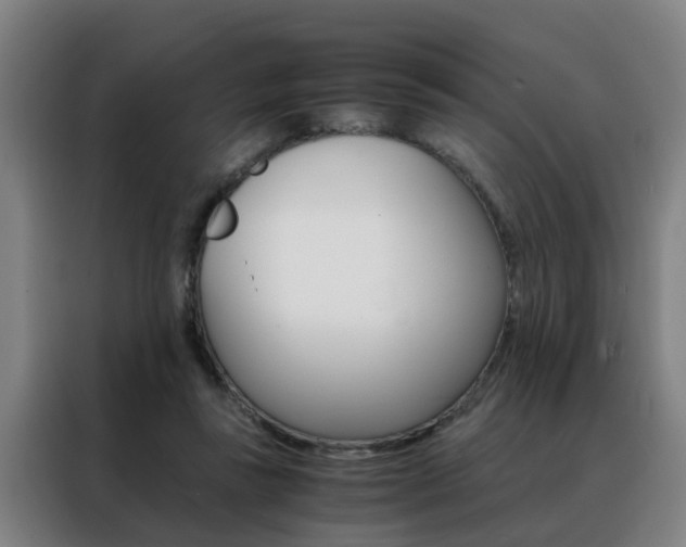 X0000088440355200705220919