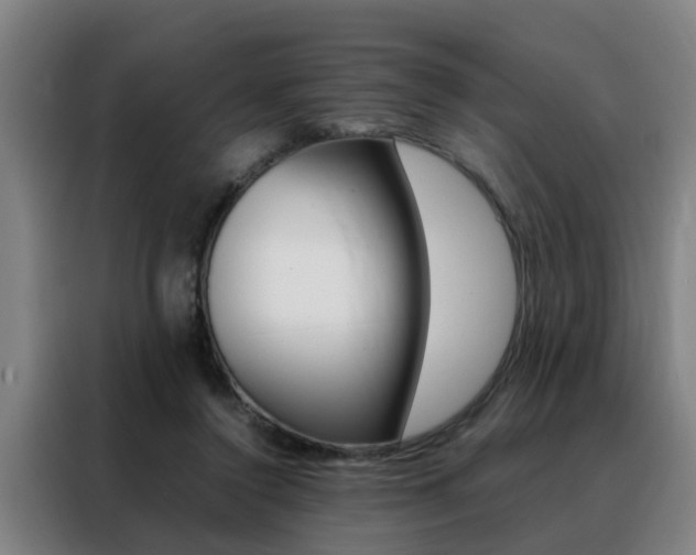 X0000088440356200705220919