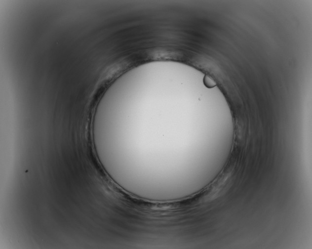 X0000088440357200705220919