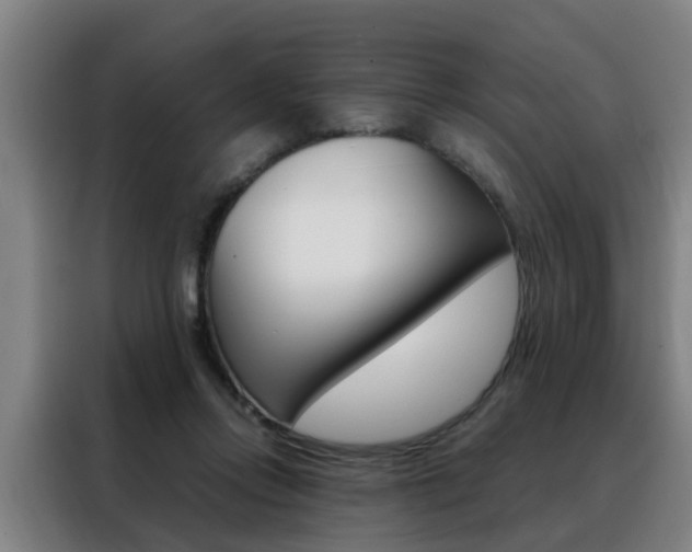 X0000088440358200705220919