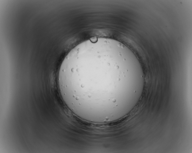 X0000088440359200705220919