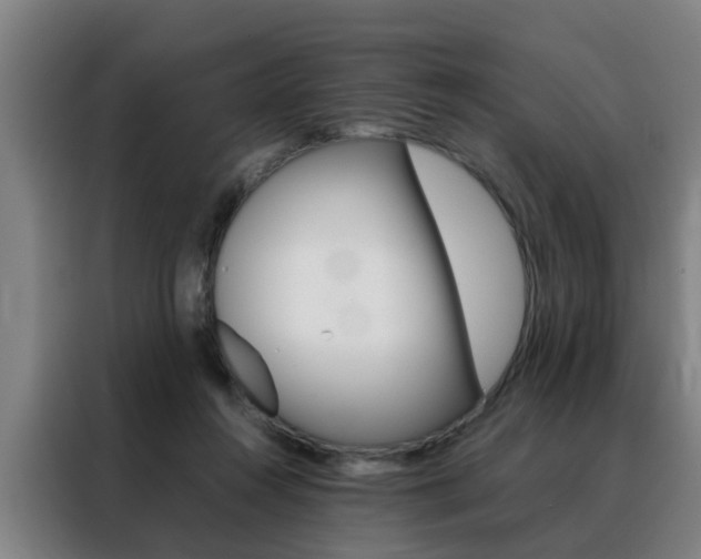 X0000088440360200705220919
