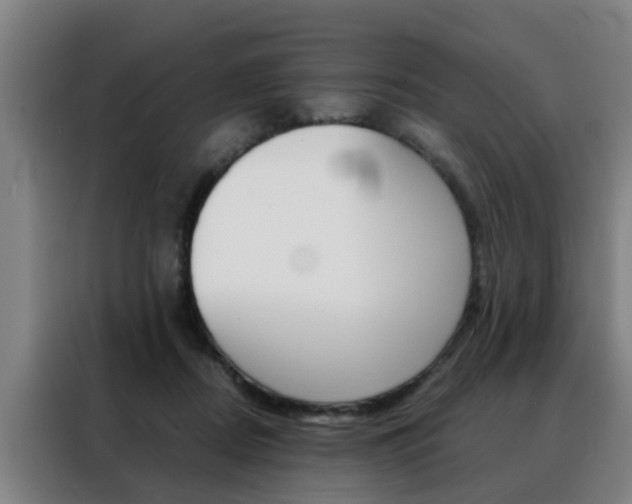 X0000088440362200705220919