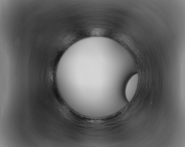 X0000088440363200705220919