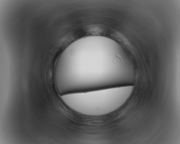 X0000088440365200705220919
