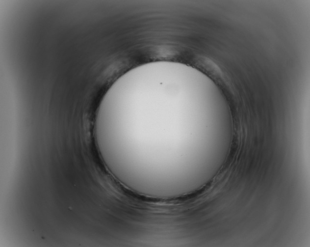 X0000088440366200705220919