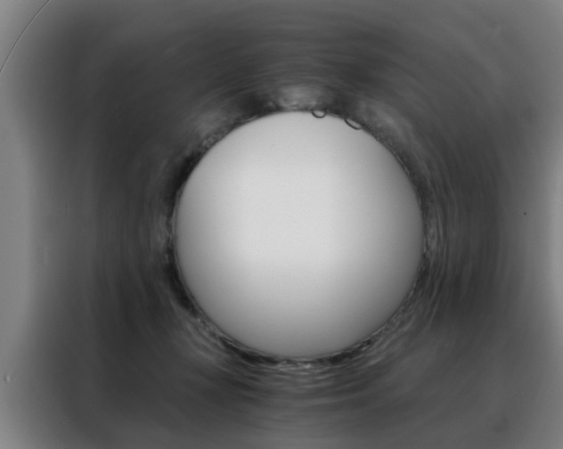 X0000088440367200705220919