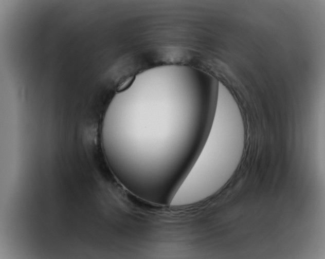 X0000088440368200705220919